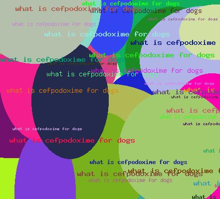 What is cefpodoxime for dogs